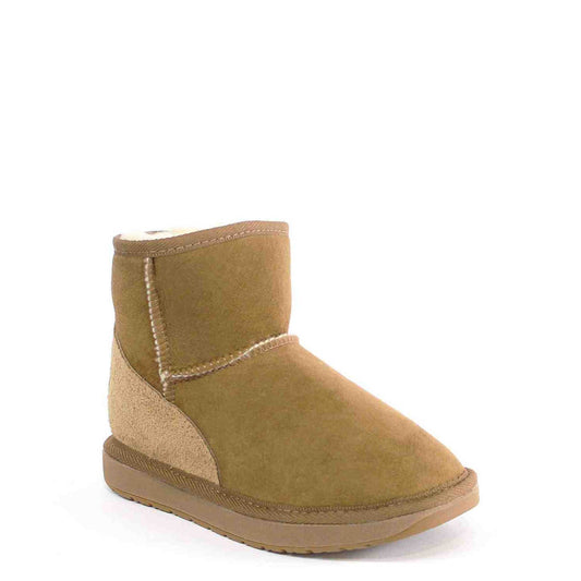Premium Mini Chestnut | Mens